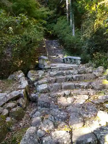 桑実寺の建物その他