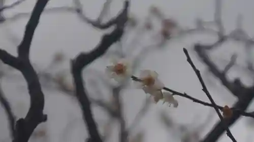 長岡天満宮(京都府)