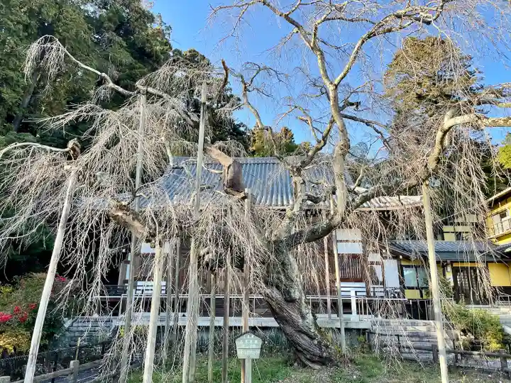 太山寺(栃木県)