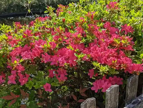 六孫王神社(京都府)