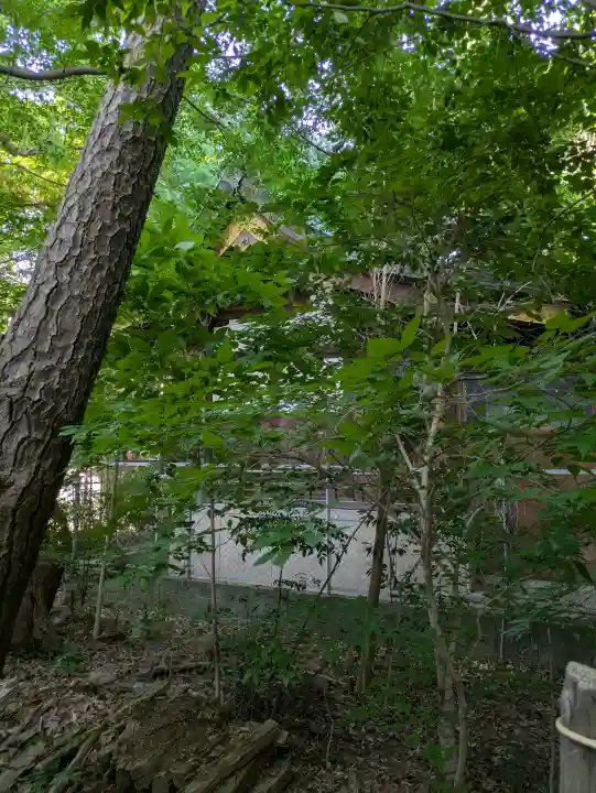 熊野神社(兵庫県)