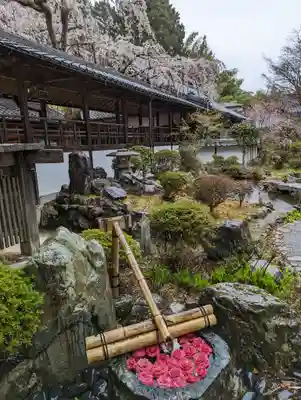 十輪寺(京都府)