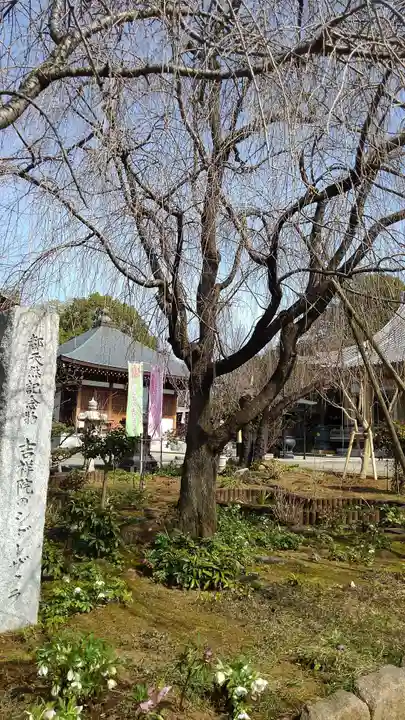 吉祥院のその他建物