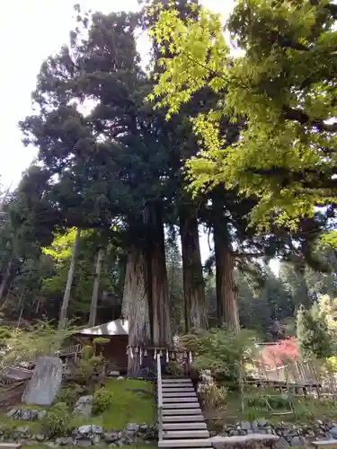 金剛三昧院(和歌山県)