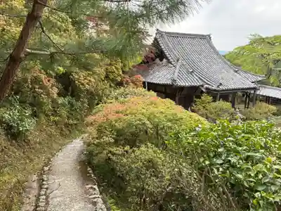竹林院(奈良県)