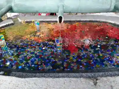 岡寺(龍蓋寺)(奈良県)