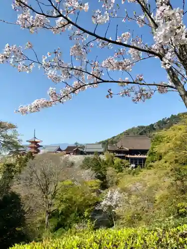 清水寺の景色