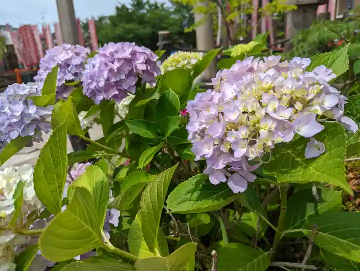 六孫王神社(京都府)