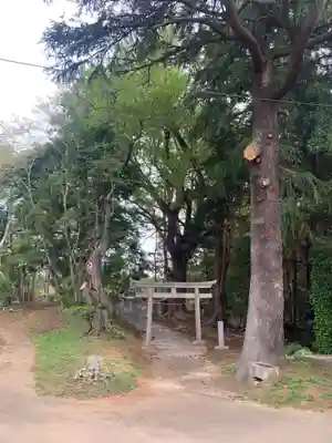 七社神社の鳥居