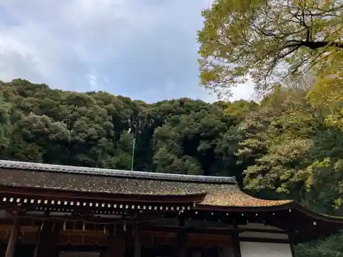 宇治上神社(京都府)