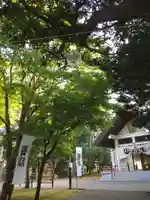 北広島市総鎮守 廣島神社のその他建物