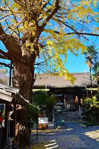 遍照院(神奈川県)