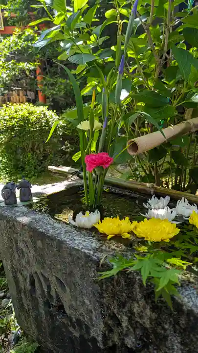 宝蔵寺(京都府)