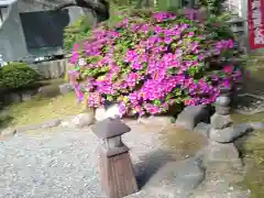 安養寺(東京都)