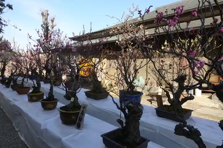 菅原天満宮(菅原神社)のその他建物