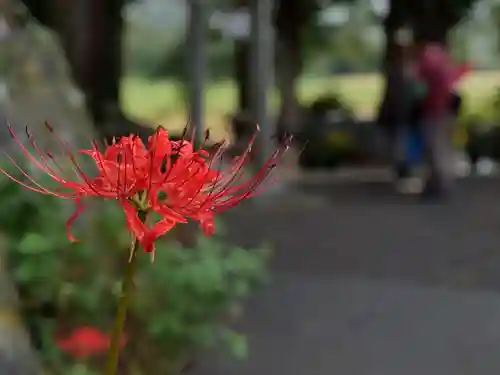 高司神社〜むすびの神の鎮まる社〜(福島県)