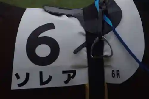 東京競馬場馬頭観音(東京都)