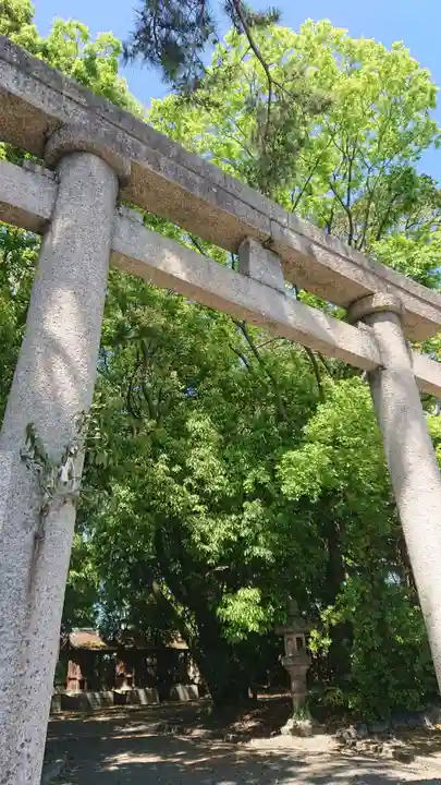 尾張大國霊神社(国府宮)の鳥居