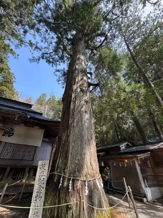 日枝神社(岐阜県)