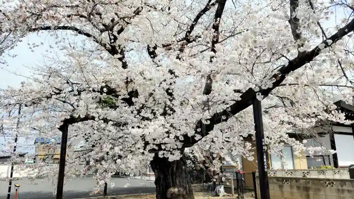 長安寺(群馬県)