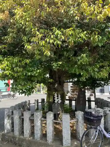 多摩川諏訪神社(東京都)