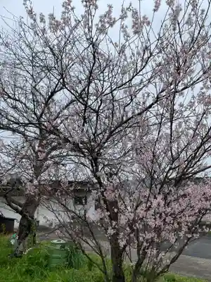 多聞寺(兵庫県)