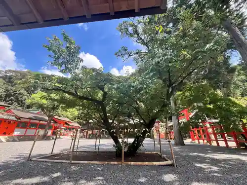 吉田神社(京都府)