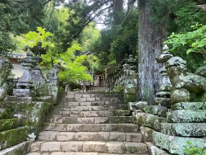 若宮神社(高知県)