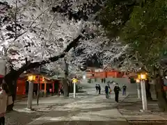 花園神社の自然