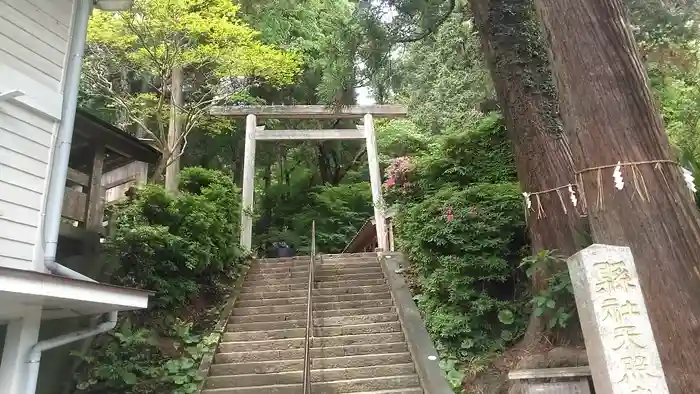 伊野天照皇大神宮の鳥居