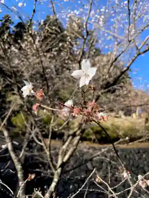 妙義神社(群馬県)