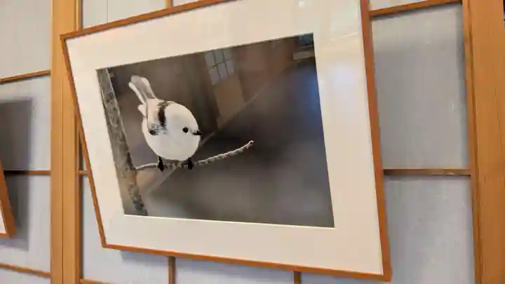 帯廣神社の動物