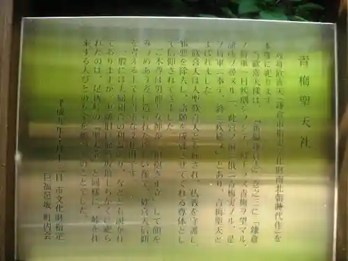 青梅聖天社の歴史