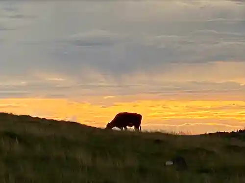子檀嶺神社(長野県)
