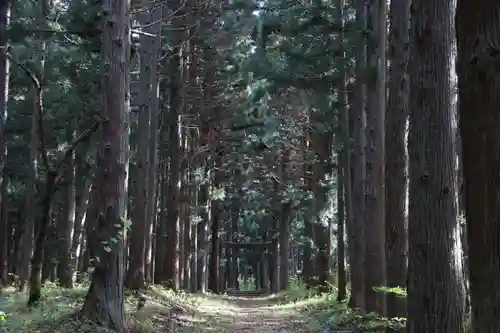 隠津島神社の鳥居