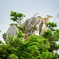 美幌神社(北海道)