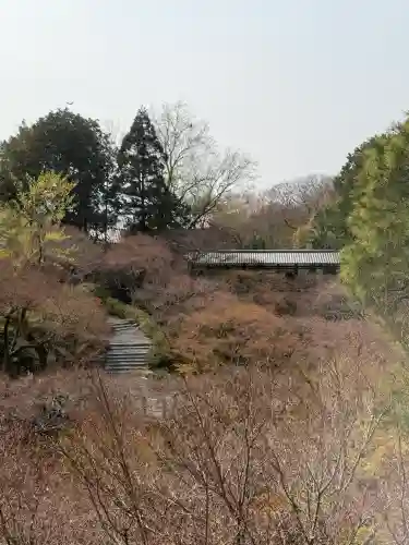 東福禅寺（東福寺）の{uncategorized: "未分類", other: "その他", undefined: "問題あり", building: "その他建物", grave: "お墓", sacred_gate: "鳥居", guardian: "狛犬", statue: "像", buddha: "仏像", history: "歴史", nature: "自然", garden: "庭園", animal: "動物", pagoda: "塔", temizu: "手水舎", mountain_gate: "山門・神門", sanctuary: "本殿・本堂", subordinate: "末社・摂社", art: "芸術", scenery: "景色", jizo: "地蔵", ema: "絵馬", goshuin: "御朱印", omikuji: "おみくじ", items: "授与品その他", amulet: "お守り", goshuincho: "御朱印帳", eats: "食事", festival: "お祭り", votive_dance: "神楽", shichigosan: "七五三参", wedding: "結婚式", experience: "体験その他", initially: "初詣", around: "周辺", anti_infection: "感染症対策"}