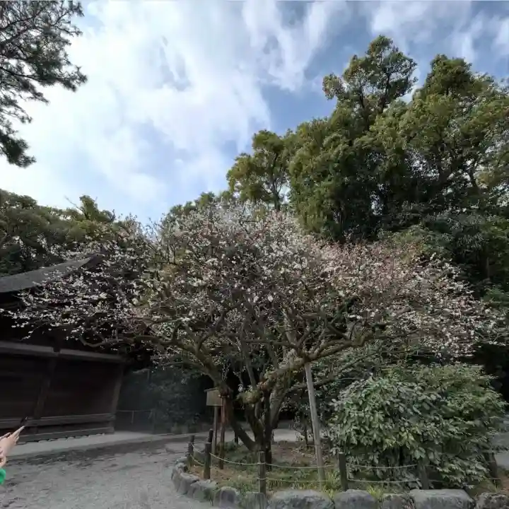 熱田神宮の{uncategorized: "未分類", other: "その他", undefined: "問題あり", building: "その他建物", grave: "お墓", sacred_gate: "鳥居", guardian: "狛犬", statue: "像", buddha: "仏像", history: "歴史", nature: "自然", garden: "庭園", animal: "動物", pagoda: "塔", temizu: "手水舎", mountain_gate: "山門・神門", sanctuary: "本殿・本堂", subordinate: "末社・摂社", art: "芸術", scenery: "景色", jizo: "地蔵", ema: "絵馬", goshuin: "御朱印", omikuji: "おみくじ", items: "授与品その他", amulet: "お守り", goshuincho: "御朱印帳", eats: "食事", festival: "お祭り", votive_dance: "神楽", shichigosan: "七五三参", wedding: "結婚式", experience: "体験その他", initially: "初詣", around: "周辺", anti_infection: "感染症対策"}