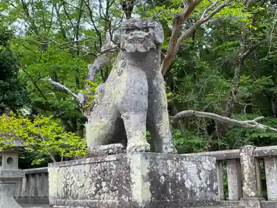 一之宮貫前神社の狛犬