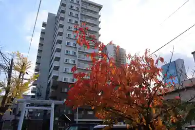 阿邪訶根神社の景色