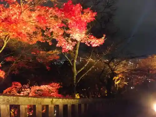 清水寺の自然