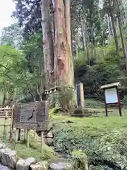 御岩神社の自然