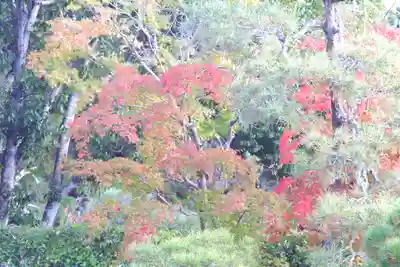 仁和寺(京都府)