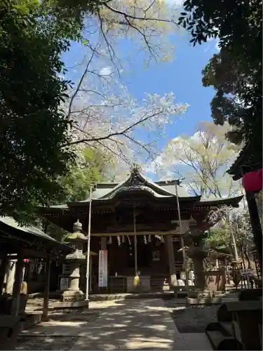 座間神社(神奈川県)