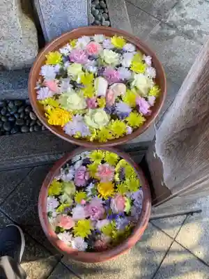 日蓮宗　浄運寺(東京都)