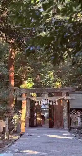 椿大神社(三重県)