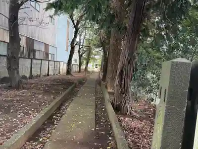 馬場氷川神社(埼玉県)