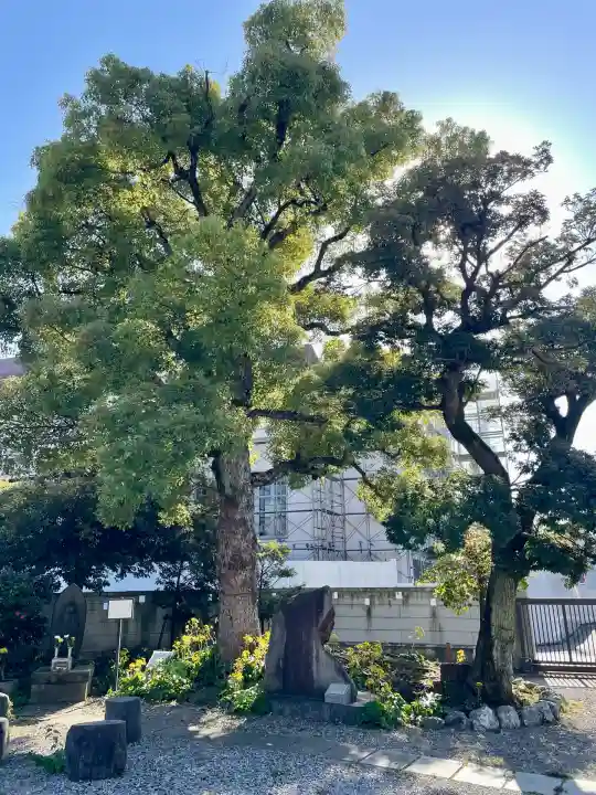 法泉寺(東京都)
