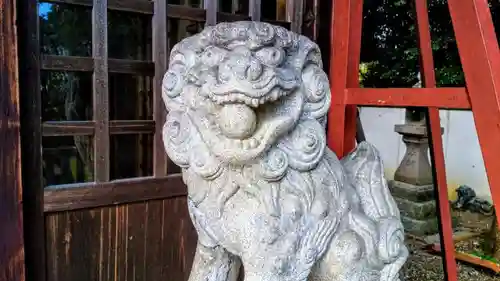 津島神社の狛犬