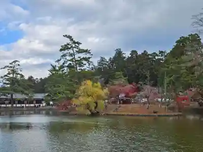 東大寺(奈良県)